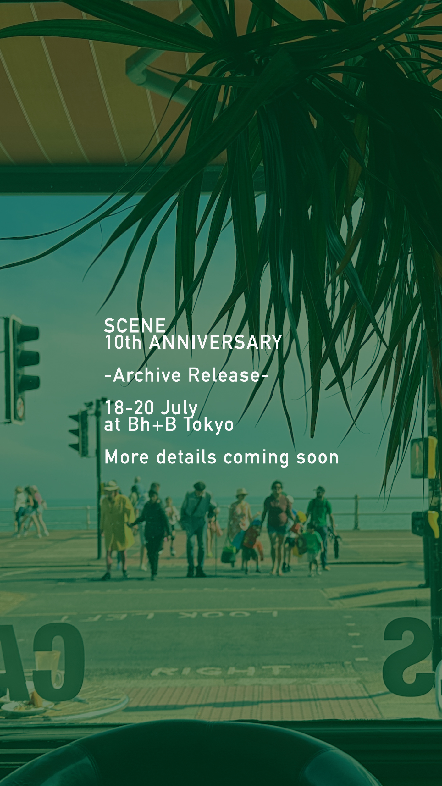 SCENE - Archive Release - 10th Anniversary