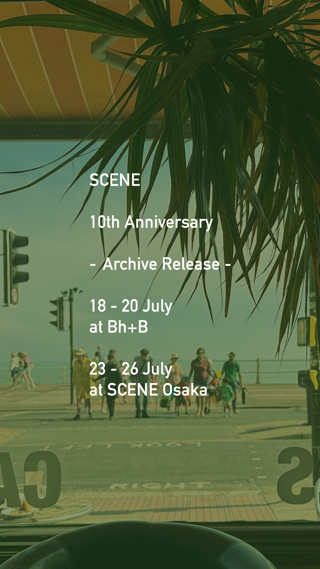 SCENE - Archive Release - 10th Anniversary